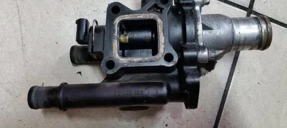 Thermostat/thermostat housing