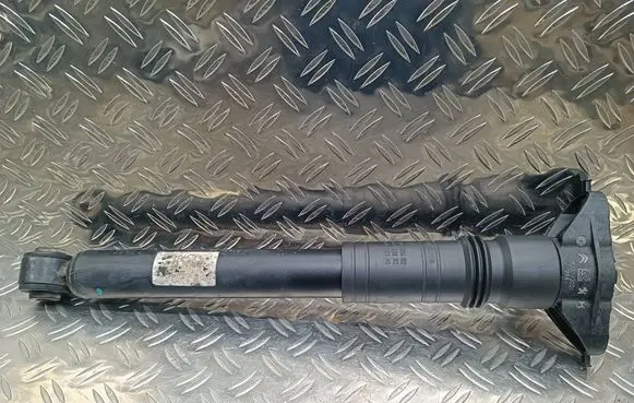 Citroen C4 III e-C4 Rear shock absorber/damper 9841379480 0301100 0081037M01