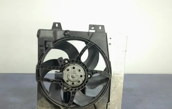 Peugeot 207 CC Electric radiator cooling fan 8240503FR