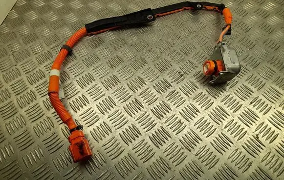 Lexus LBX Other wiring loom 821H252010