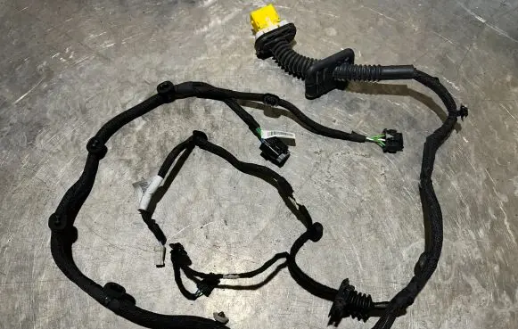 Citroen C4 III e-C4 Rear door wiring loom 9840756780