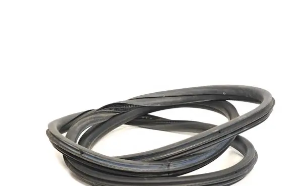 Citroen C4 Cactus Front door rubber seal