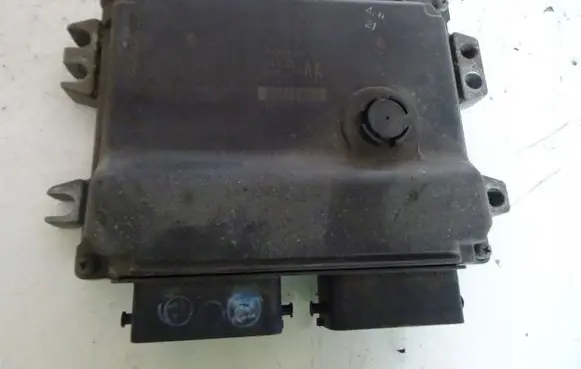 Suzuki Grand Vitara II Engine control unit/module 3392064J0
