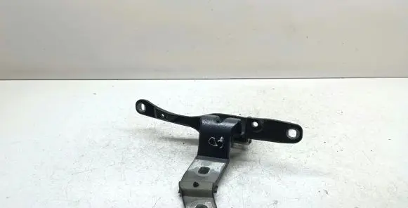 BMW 5 GT F07 Tailgate/trunk/boot hinge 7200534