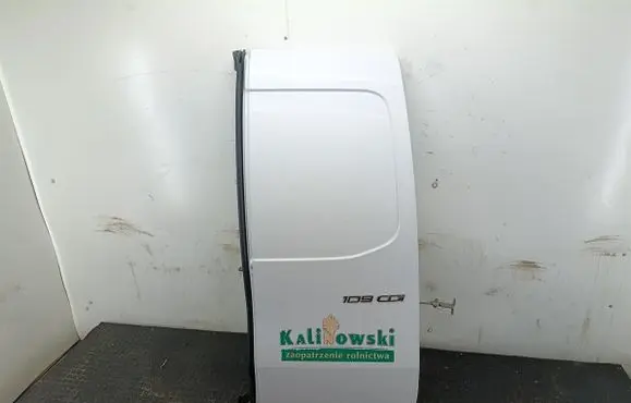 Mercedes-Benz Citan W415 Back/rear loading door