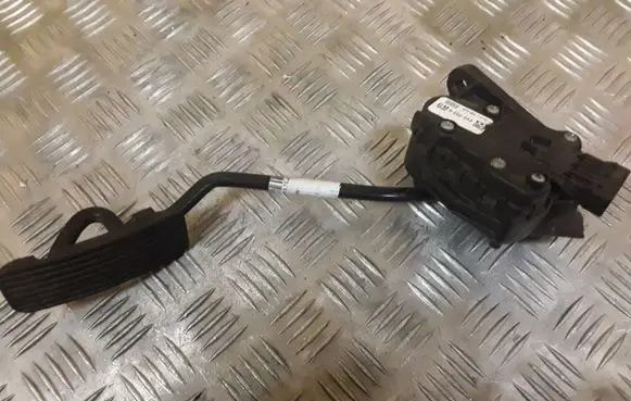 Opel Zafira B Accelerator throttle pedal GM9202343 00811500
