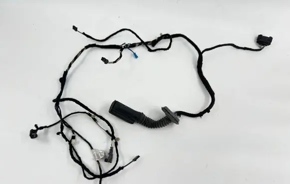 BMW 1 F20 F21 Front door wiring loom 9286168