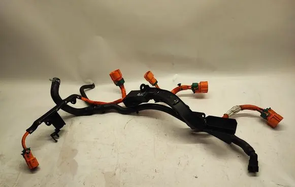 Ford Mustang Mach-E Other wiring loom LJ9814B323