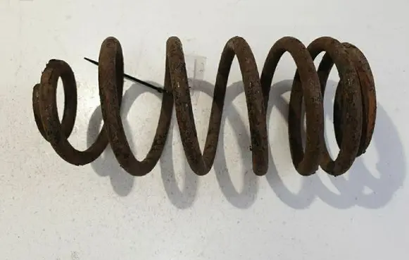 Rear coil spring