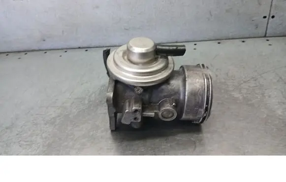 Volkswagen PASSAT B5.5 EGR valve 313112006