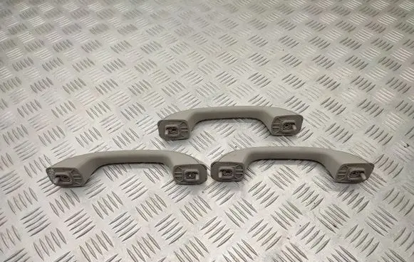 Dacia Sandero II A set of handles for the ceiling 