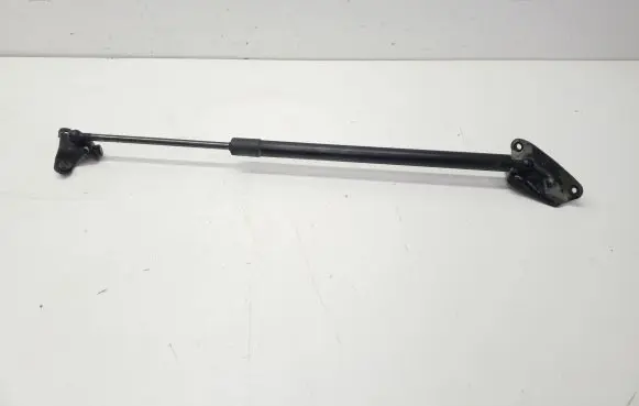 Tailgate strut