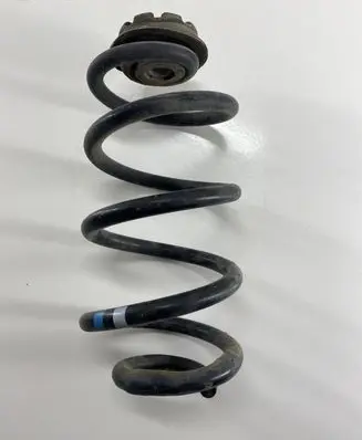 Nissan Qashqai Rear coil spring