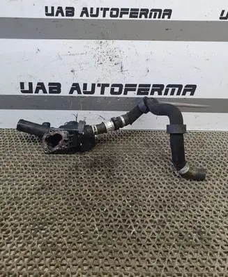 Thermostat/thermostat housing