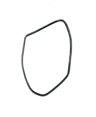 Ford Galaxy Rear door rubber seal (on body) 6M21u297a90