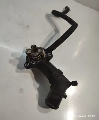Thermostat/thermostat housing