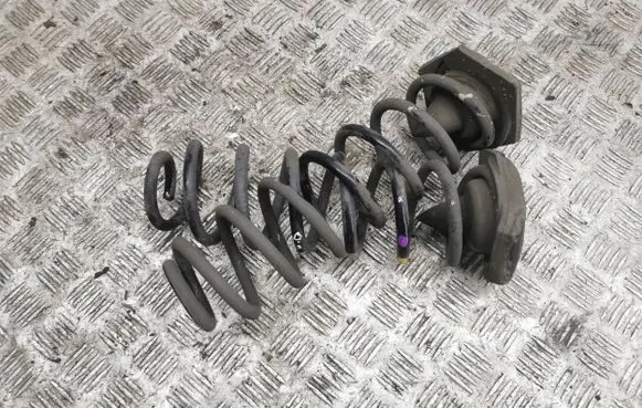 Renault Megane IV Rear coil spring