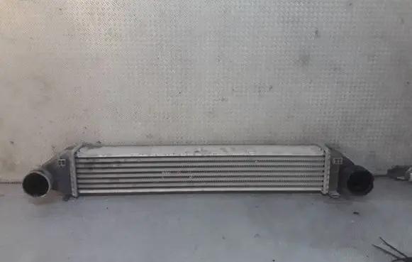 Mercedes-Benz B W245 Intercooler radiator A1695000000