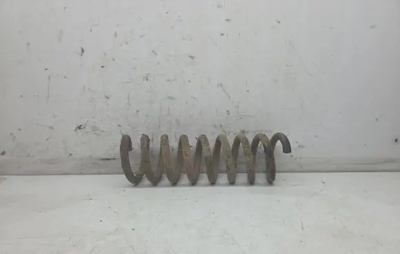 Rear coil spring