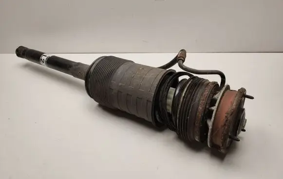 Mercedes-Benz CL C216 Rear shock absorber/damper A2213208513