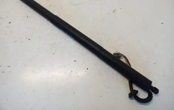 Ford Kuga II Tailgate strut CV44S402A55AC