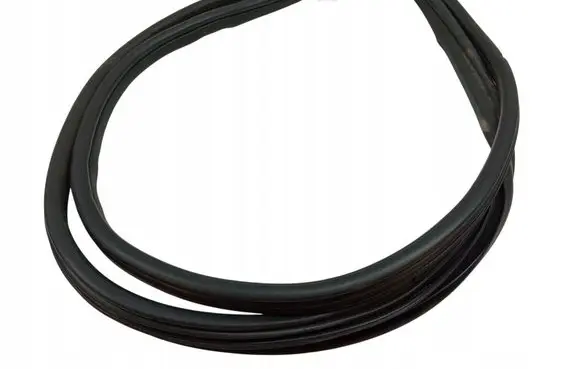 BMW X6 E71 Rubber seal front door (on door) 