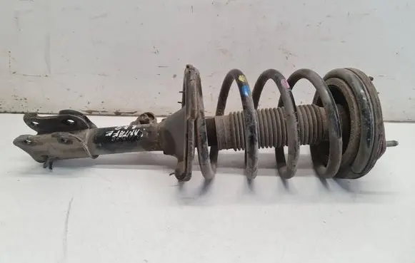 Hyundai Santa Fe Front shock absorber with coil spring