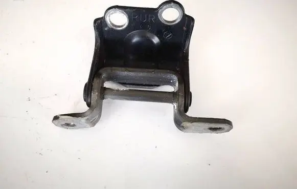Rear door lower hinge