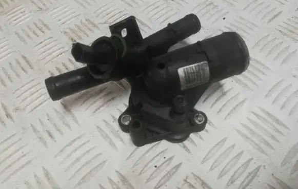 Thermostat/thermostat housing