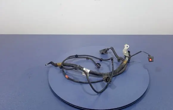 Porsche Panamera (970) Other wiring loom 971971793K
