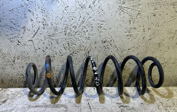 Rear coil spring
