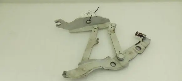 BMW Z4 E89 Engine bonnet/hood hinges 7191512