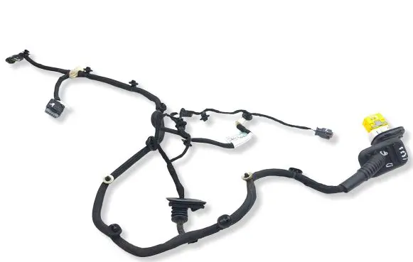 Citroen C4 III e-C4 Rear door wiring loom 9840756380