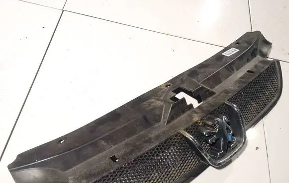 Front grill