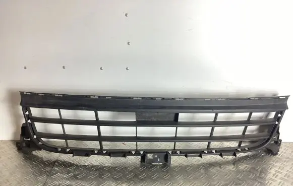 Porsche Panamera (971) Front bumper upper radiator grill 971807683