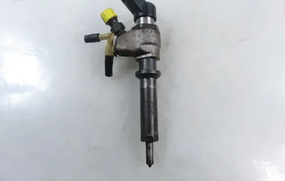 Peugeot Partner Fuel injector 9652173780