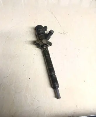Citroen C5 Fuel injector 0445110297