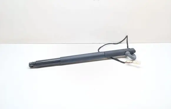Tailgate/trunk strut/damper