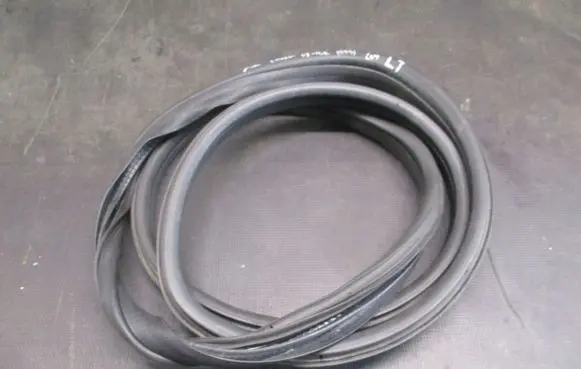 Volkswagen PASSAT CC Front door rubber seal 