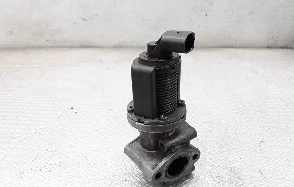 Opel Signum EGR valve 55215031