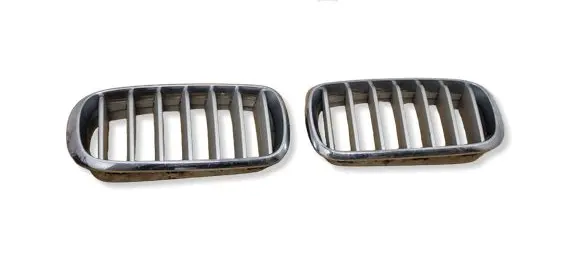 BMW X5 F15 Front bumper upper radiator grill 7316075