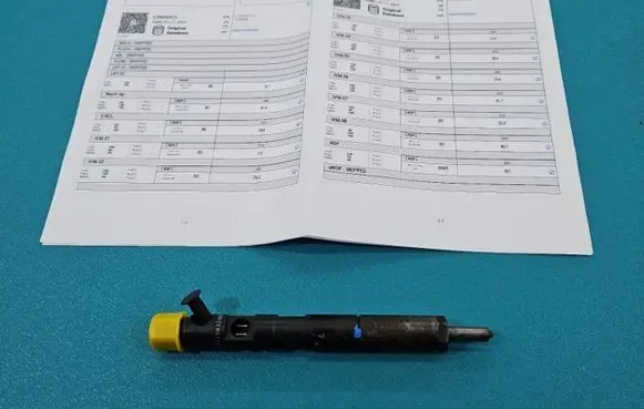 Renault Kangoo I Fuel injector EJBR04001D IMPRK1439363