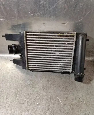 Nissan Juke I F15 Intercooler radiator 144613ZU0B