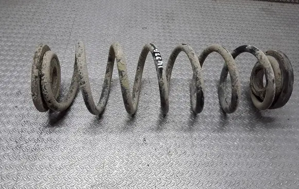 Skoda Octavia Mk2 (1Z) Rear coil spring