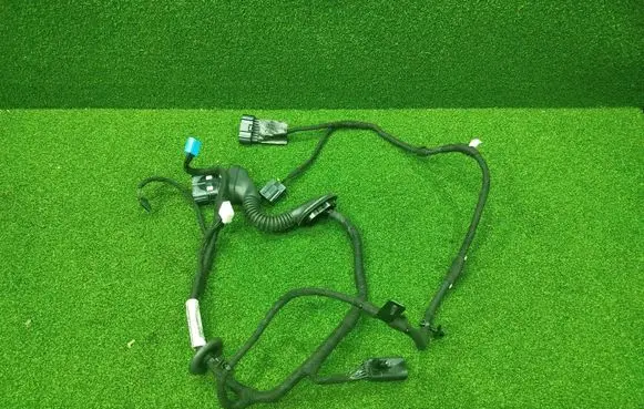 Front door wiring loom