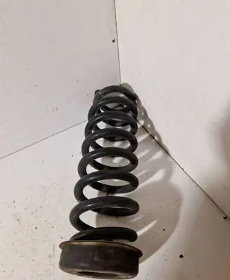 Rear coil spring