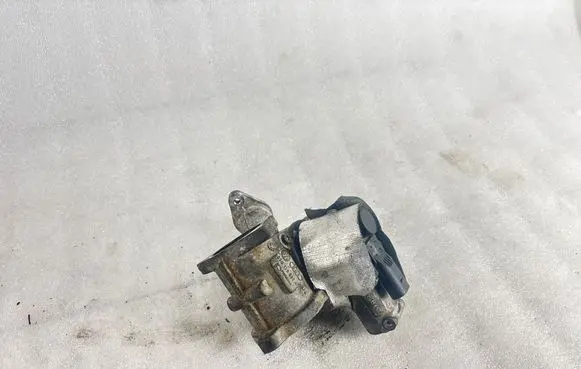 EGR valve