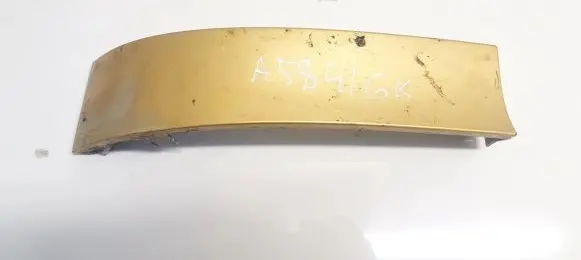 Rear/tail light trim molding