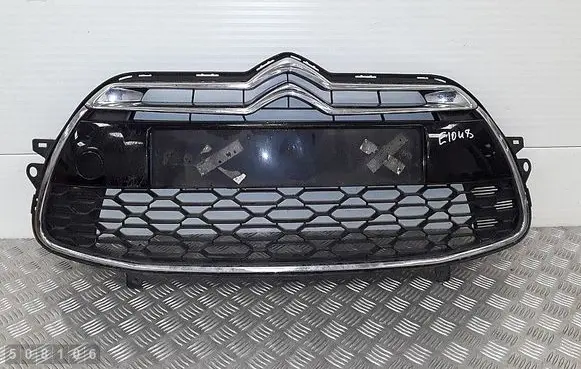 Front bumper lower grill