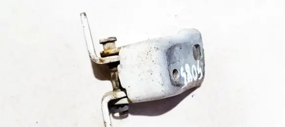 Rear door lower hinge